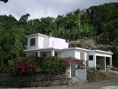 Jamaican Eco Farm, House and Land For Sale