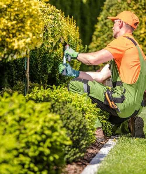 Landscapers Toowoomba