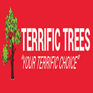 Terrific Trees