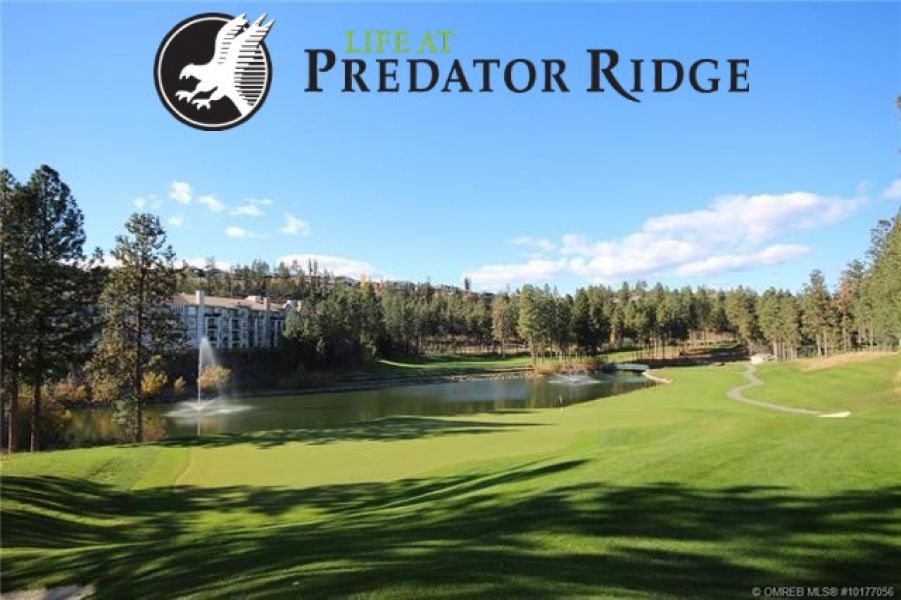 Life at predator | Predator ridge real estate