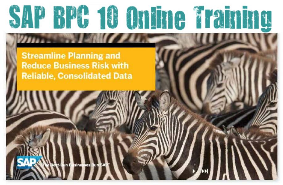 Online Training for  SAP NW BPC 10.0