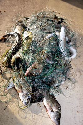 GILL FISHING NETS FOR SALE NEW 