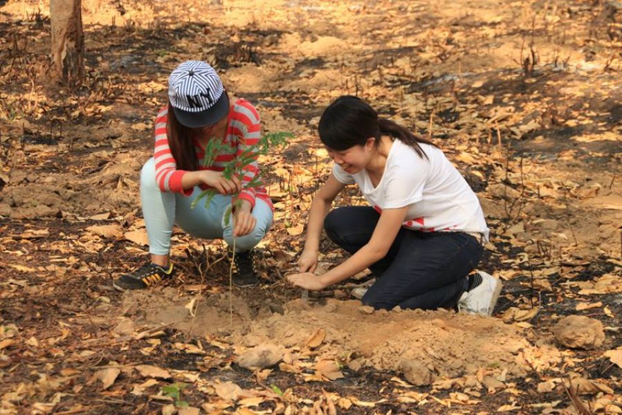 Tree planting in Nepal